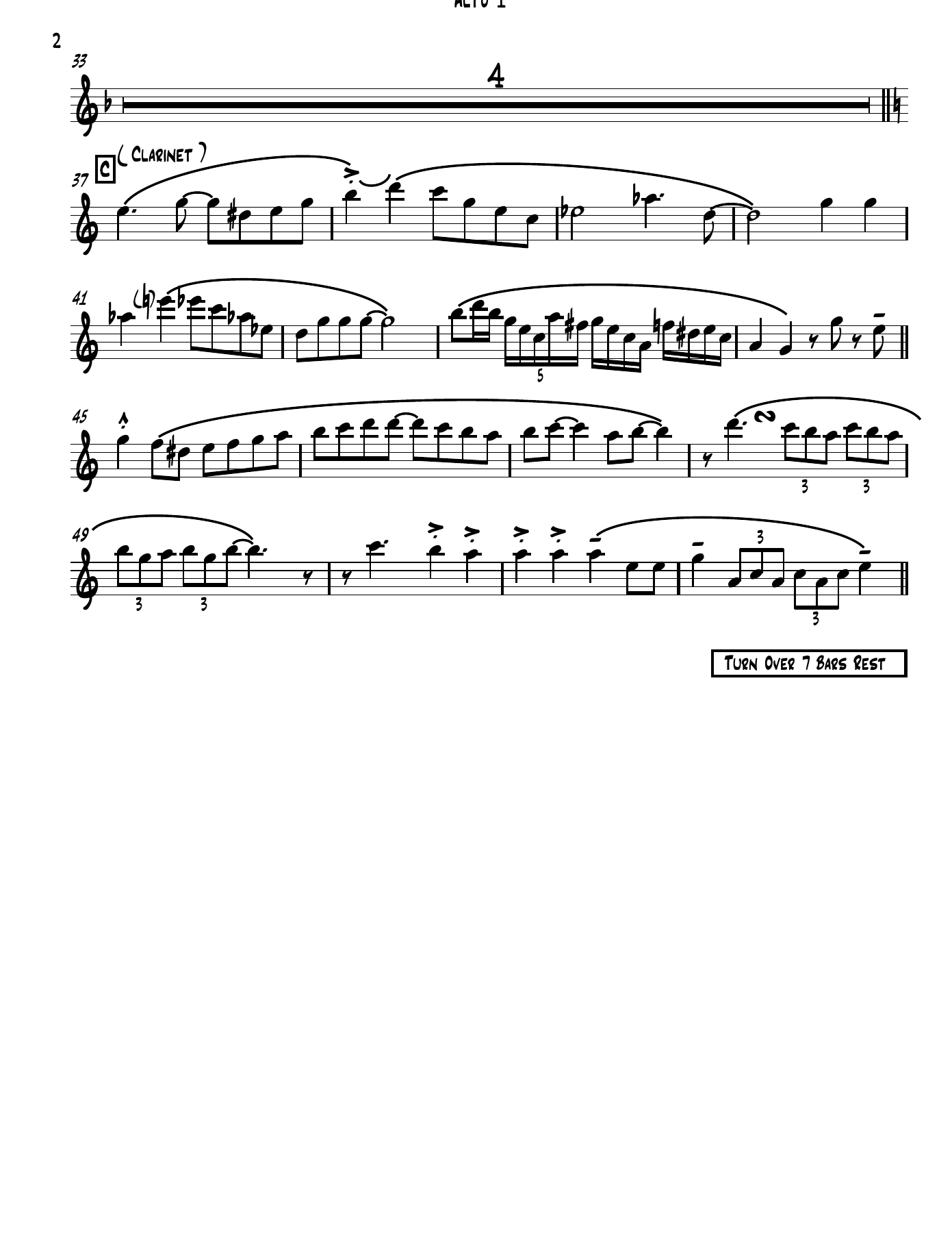 Zigeuner  (A.Shaw) A.Shaw — page 2