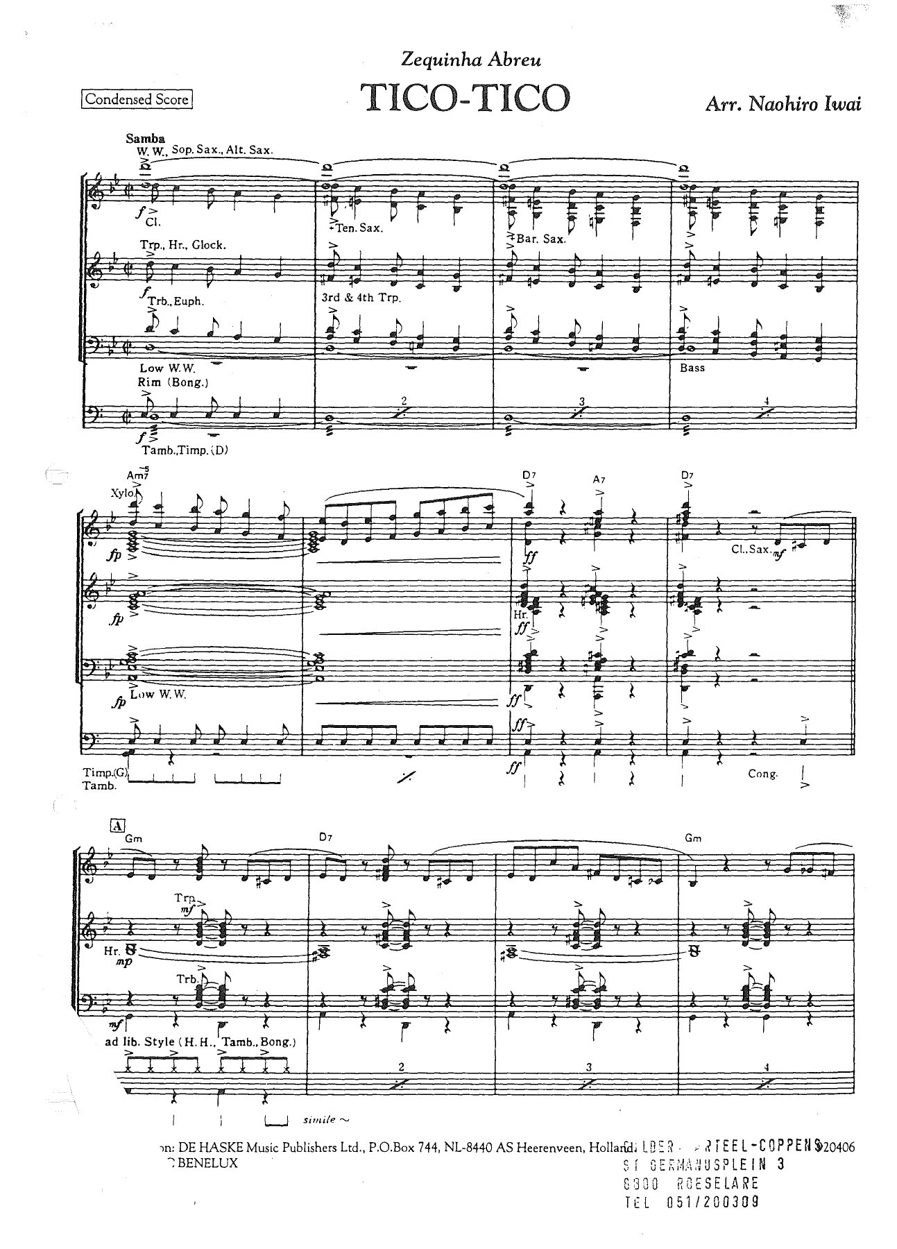 Tico Tico (N.Iwai) — page 2