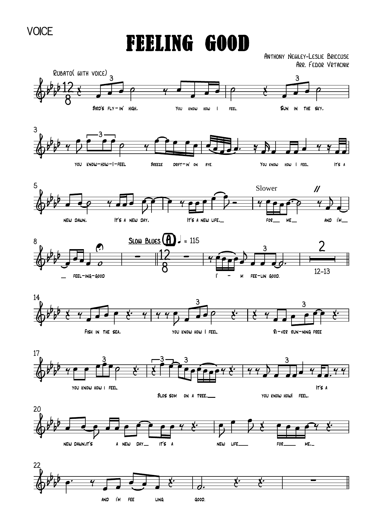 FEELING GOOD-Fm Voice — sheet music preview