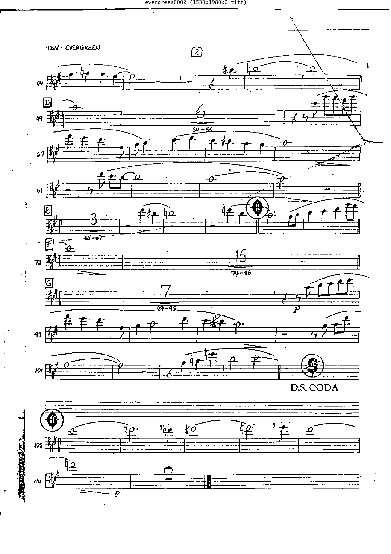 Evergreen Tb — page 2