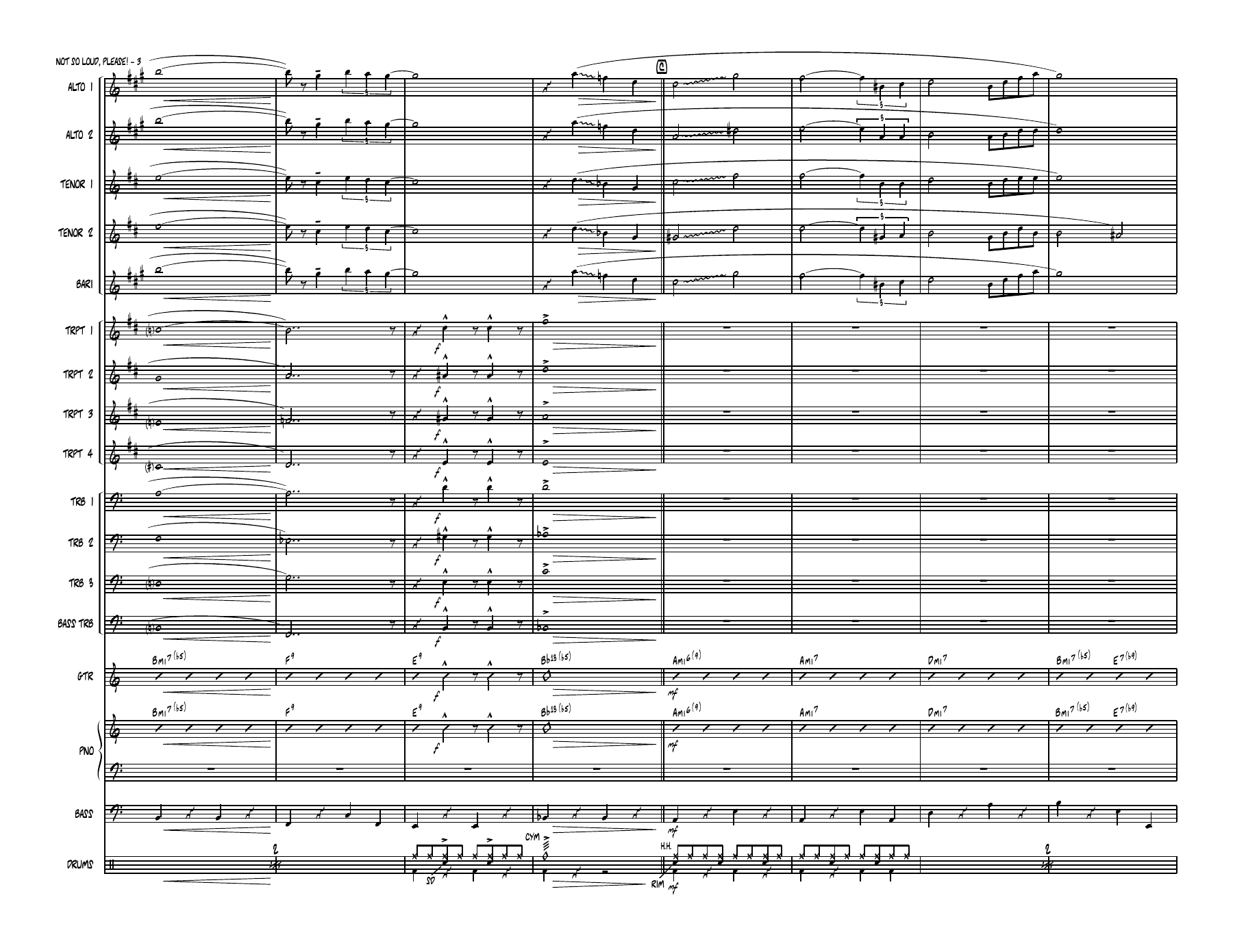 Not So Loud Please (D.Wolpe) 45 — page 3
